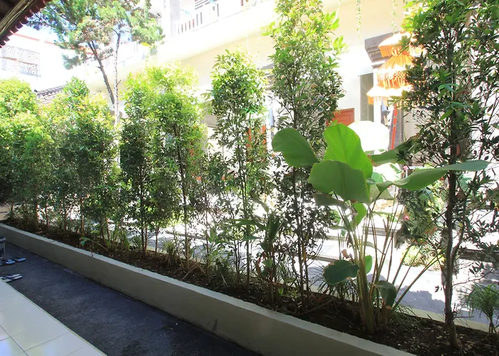 Bagus View 2*